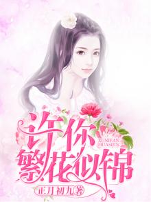 许你繁花似锦小说