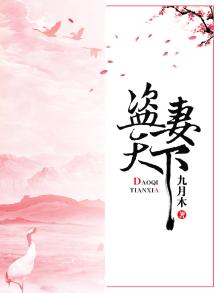 盗妃天下百科