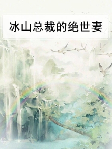 冰山总裁的绝世妻