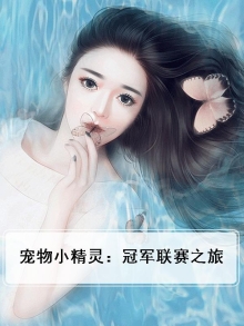 宠物小精灵 冠军