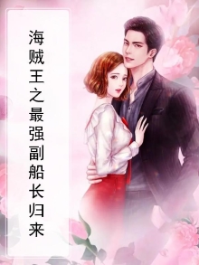 海贼王之史上最强副船长