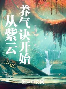 从紫云养气诀开始TXT