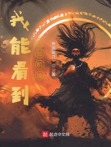 我可以看见机缘 小说