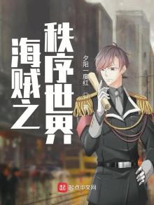 海贼之秩序世界全文在线阅读