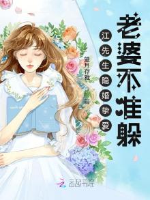 江先生隐婚挚爱全文免费阅读