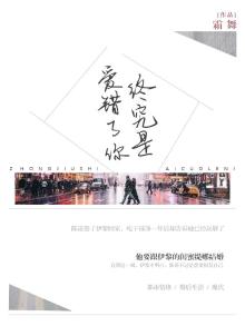 终究是爱错了你 小说