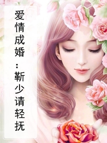 靳少请爱我小说