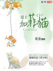 加菲猫爱主人的表现