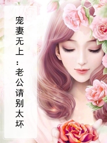 宠妻入骨老公别乱来