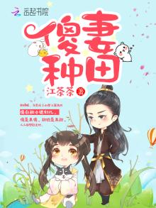 傻妻种田免费阅读全文