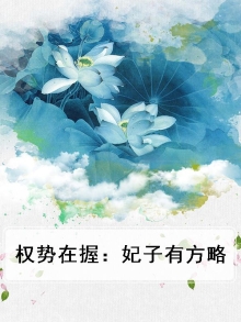 小说 权势