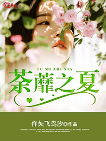 荼蘼之番外篇 电视剧