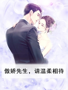 傲娇先生歌词