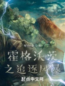 霍格沃茨之追逐风暴TXT下载