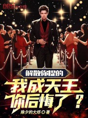 天团解散后我爆红了t