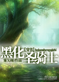 穿书之黑化圣骑士