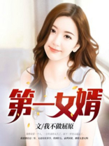 大明第一女婿