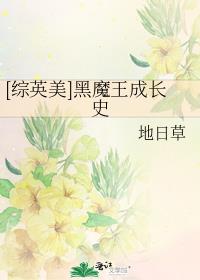 hp黑魔王文