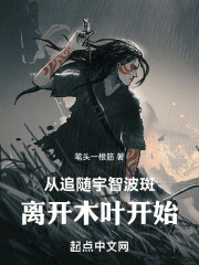 从追随宇智波斑离开木叶开始途阅