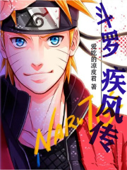 斗罗:疾风传全文盗版