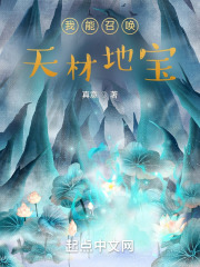 我能召唤我自己txt