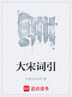 大宋词剧情