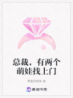 两个总裁要娶我