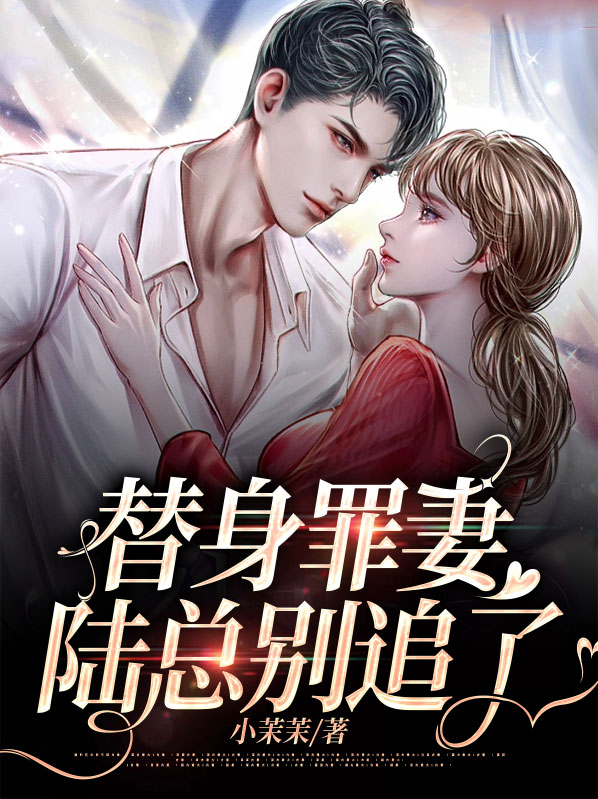 替身恋人陆锦