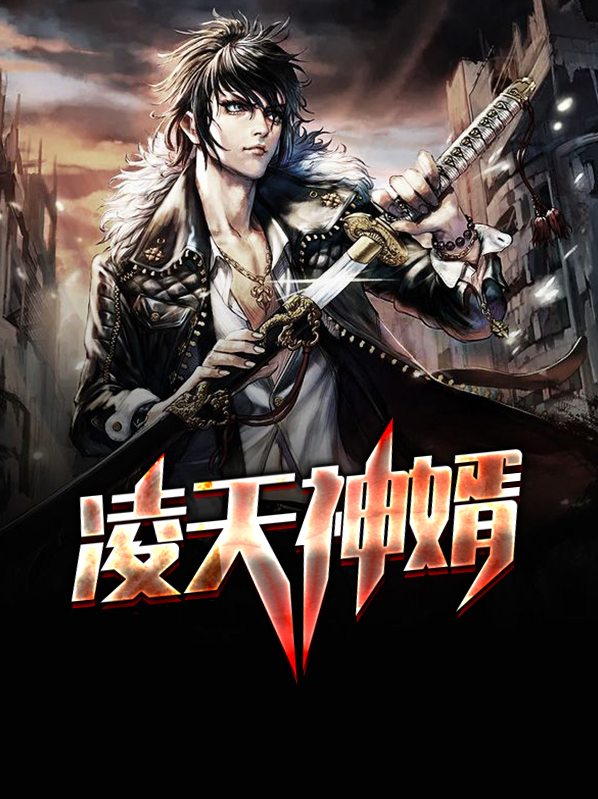 凌天神婿 听雨少年
