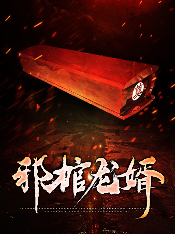 邪棺龙婿小说免费