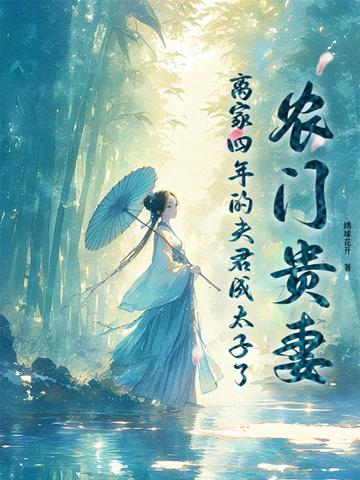 农门贵妻 小说