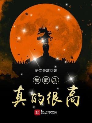 我武功真的很高txt