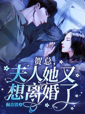 夫人又要离婚了全文