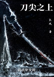 长风小说刀尖之上