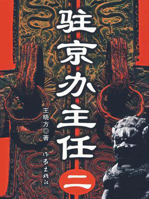 驻京办主任二