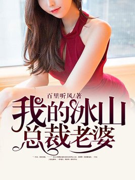我的冰山总裁老婆完整版最新