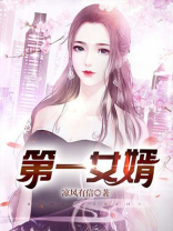 第一女婿全文阅读