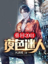 重回2001夜色迷人免费阅读