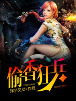 偷香狂兵小说