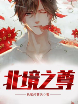 北境之尊归来电视剧