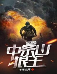 抗战之中条山狼王TXT