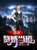 小说赘婿当道