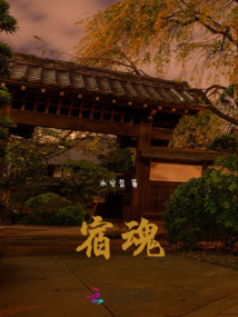 宿魂之伞怎么玩