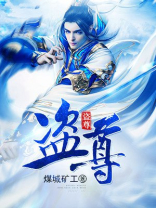 盗尊 小说