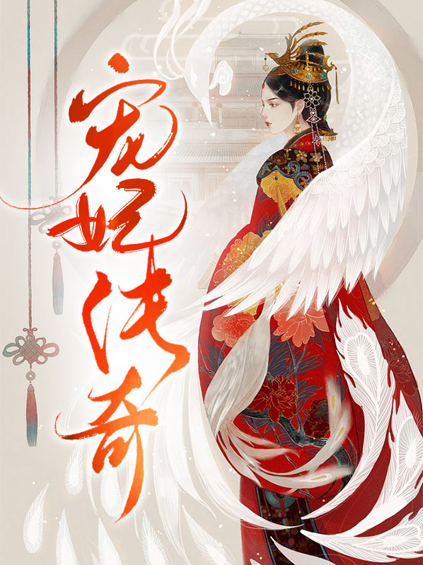丽妃传奇的电视剧