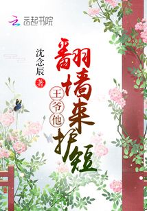 王爷翻身记