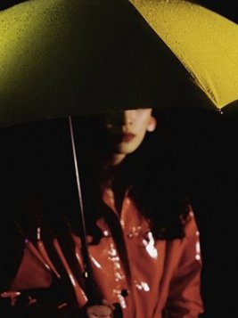 姜芊 陈以淮免费阅读