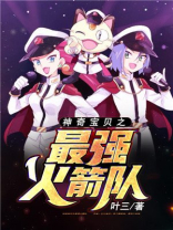 神奇宝贝之最强火箭队小说
