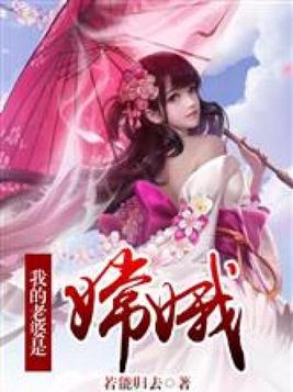 我的老婆是嫦娥 扫书