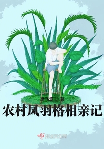 农村凤羽格相亲记 鸢飞雪